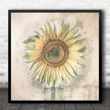 Sunflower Flower Still Life Bloom Blossom Filter Square Wall Art Print Sunflower