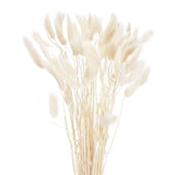 60pcs Natural Bunny Tails Dried Flowers 17" Mini Grass, White Dried Flower