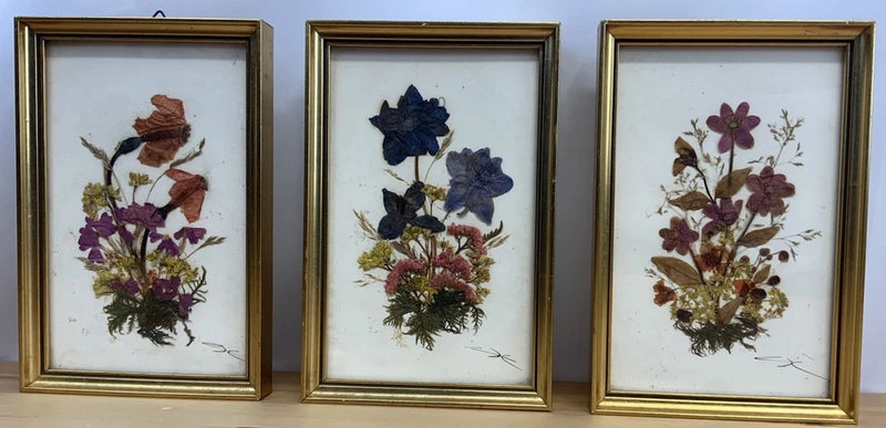 Set of 3 framed pressed flower artworks with dried blooms and gold-toned frames