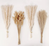 Natural Dried Pampas Grass Decor, White Grass_ 100PCS-White, Dried Flower
