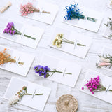 Festival Greeting Blessing Goddess Sky Cartoon Flowers After-Sales Card Dried Dried Flower