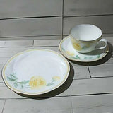 Noritake 