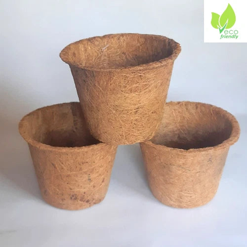 Set of 3 natural coco coir plant pots, round fiber texture in tan-brown