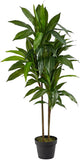 48" Real Touch Dracaena Silk Plant - Green Green Plant