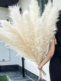 10 Stems 46" inch White Pampas Grass Decor Tall, 10PCS 46inch White, Pampas Grass