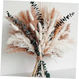 Dried Flower Bouquet - Pampas Grass, Bunny Tails, Olive Green Eucalyptus & A Pampas Grass