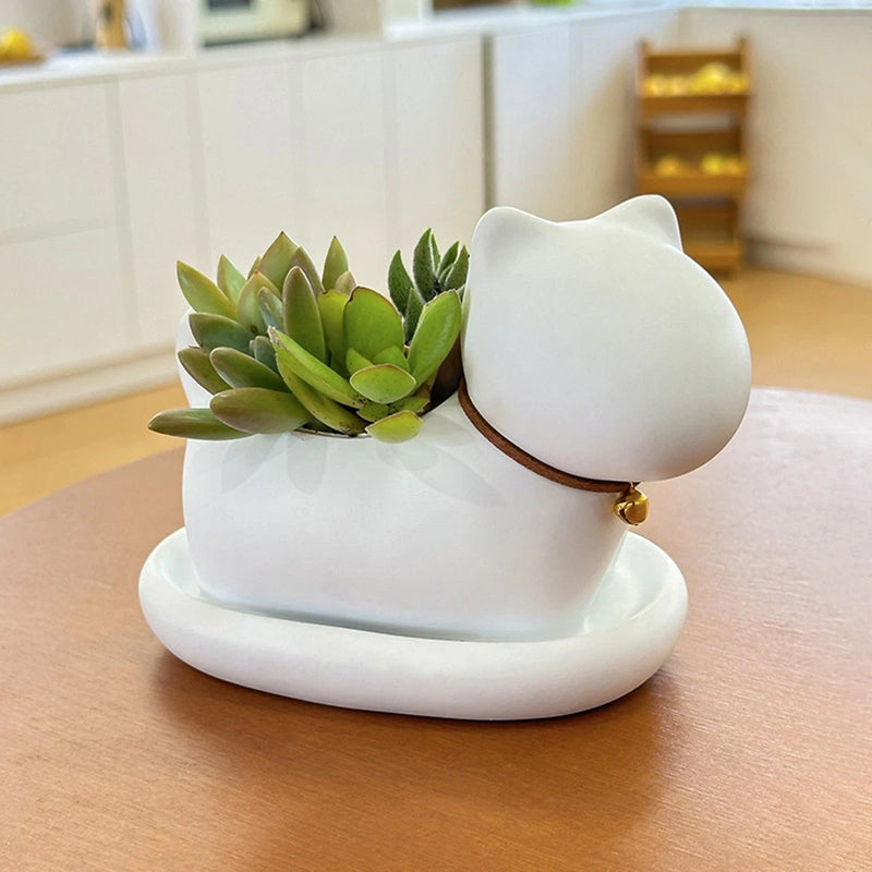White resin cat-shaped flower pot planter with succulent plants on a round base