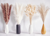100 PCS Dried Flowers Pampas Grass Bouquet, Boho Table 100pcs Grass-b Pampas Grass