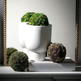 SULLIVANS 4.25" Colorful Faux Sedum Orb - Set of 2 Green Plant