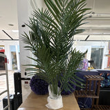 Artificial Palm Tree Green Plastic Houseplant Decorative Tropical Decor 4ft tall Green Plant