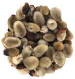 Pussy Willows Natural Hand Picked Dry for Crafts Dried Flower