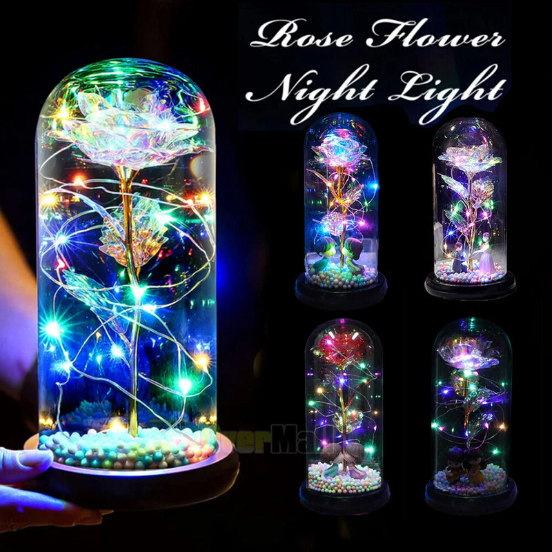 Glowing LED rose inside clear glass dome with multicolor fairy lights base