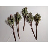 Hobby Lobby Desert Plant Faux Floral Picks Lot of 5 -New w/out Tags Green Plant