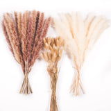 AYDI 60Pcs Pampas Grass Decor, 15Pcs Brown, 15Pcs White, and 30 Pcs Bunny Tails Pampas Grass