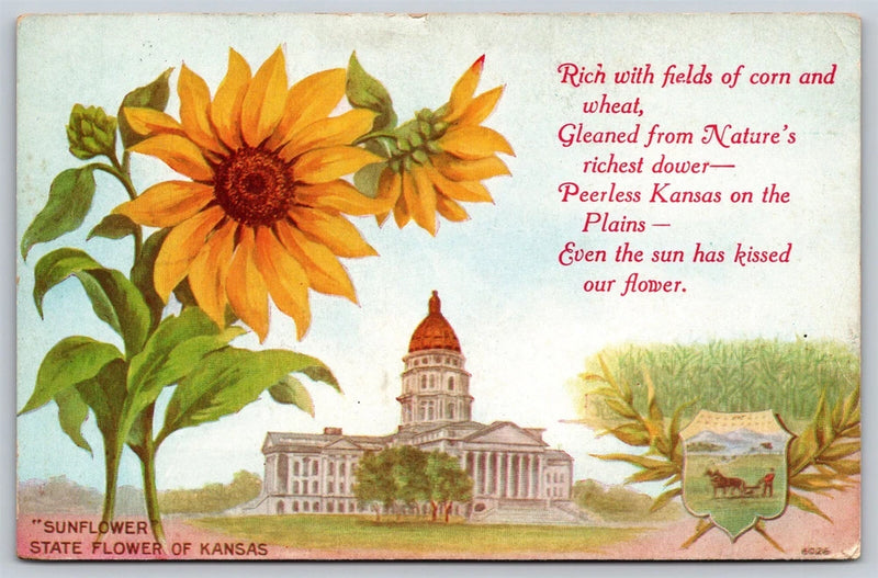Vintage postcard with orange sunflower, Kansas capitol building illustration, decorative text