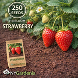 250 Strawberry Seeds Heirloom Sweet Fruit Garden Plant High Yield Garden Plants