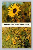 KS-Kansas, State Flower Sunflowers, General Greeting, Vintage Souvenir Postcard Sunflower