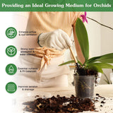 Orchid Potting Mix,2 Quart Premium Orchid Potting Mix for Repotting with Drie... Orchids