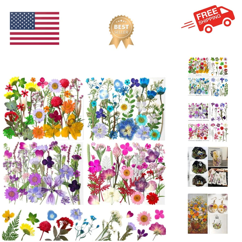 Pressed dried flowers and leaves assortment with multicolor petals and stems