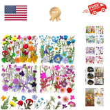 140Pcs Dried Pressed Flowers, Natural Dried Flowers Bulk with Dried Leaves fo... Dried Flower