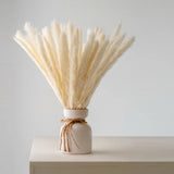 Bryonia 40pcs Natural Dried Pampas Grass for Home DŽcor, Wedding Decor(17in) Pampas Grass