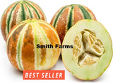 10+ Seeds Kajari Melon Cantaloupe Easy Vegetable Garden Planting Edible Garden Plants