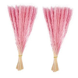 60 Stems Pampas Grass 17.5",Natural Dry Flowers Small Pampas Grass Pink Pampas Grass