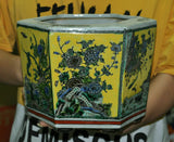 Wucai porcelain planter pot with multicolor floral and lotus pattern
