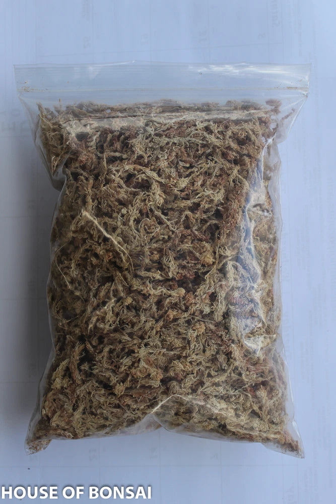 Sphagnum moss for air-layering in a clear sealed bag, loose brown-green moss