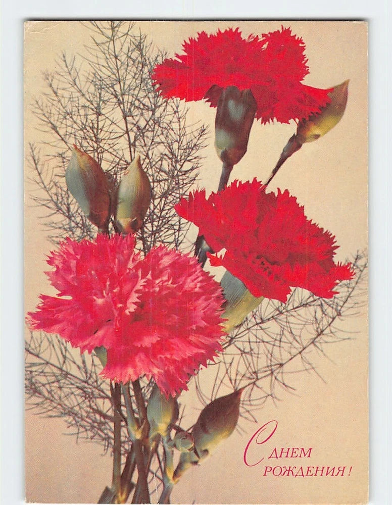Postcard Russian Happy Birthday Red Carnations Flowers Vintage Collectible Carnation