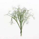 12PCS Real Pressed Dried leaf with stem, Dried Pea Seedling, Pea Shoots FSS110 Dried Flower
