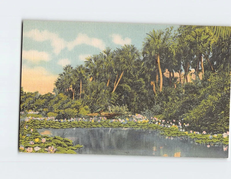 Landscape postcard print with tropical palm trees and water lilies by a pond