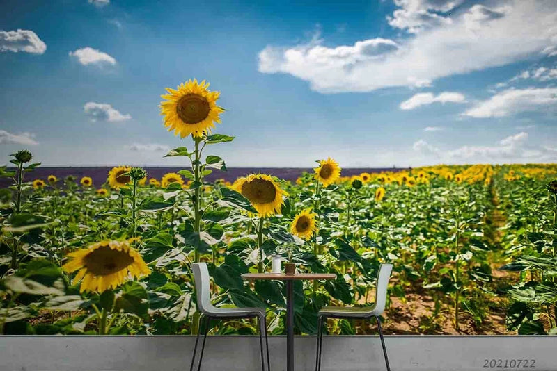 3D Blue Sky Sunflower Flower Wall Murals Wallpaper Murals Wall Sticker 34 Sunflower