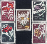 Russia 1965 Poppy/Peony/Tulips/Carnation/Flowers/Plants/Nature 5v set (ru1125) Carnation
