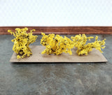 Dollhouse Yellow Forsythia Bush Flowering Shrub x3 1:12 Scale Miniature Garden Flowering Plants