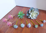 11 Pcs Artificial Miniature Succulents With Cray Lotus Flower (#20) Green Plant