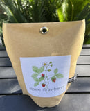 Garden In A Bag Alpine Strawberry __ Garden Plants