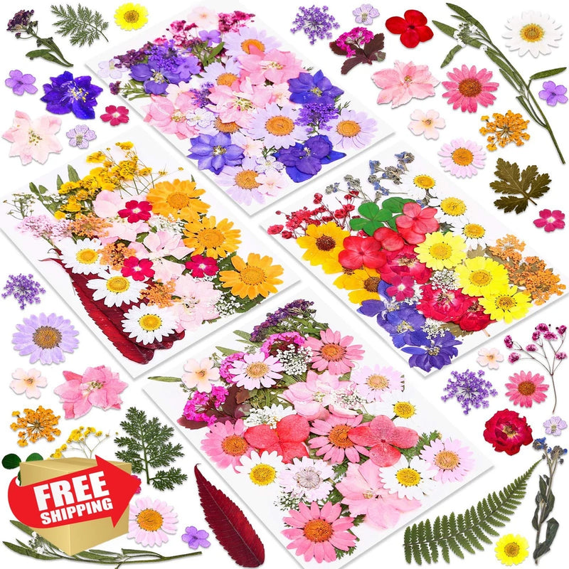 Assorted dried pressed flowers kit, multi-color flat petals and leaves for resin crafts
