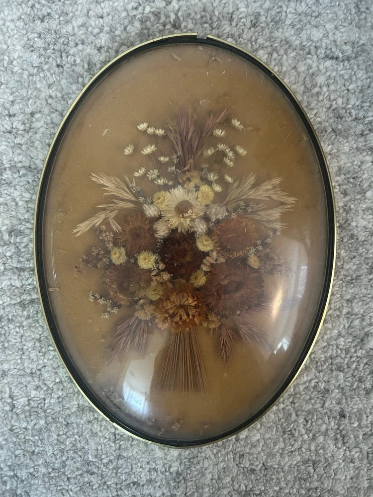 Oval dried flower wall art in domed glass with dark metal frame