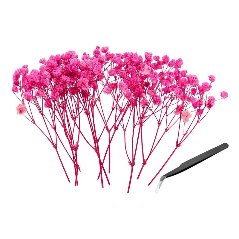30 Pcs Dried Gypsophila Flower 4" Rose Pink Pressed Flowers with Tweezer Dried Flower