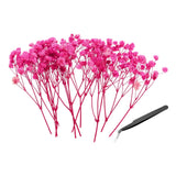 30 Pcs Dried Gypsophila Flower 4" Rose Pink Pressed Flowers with Tweezer Dried Flower