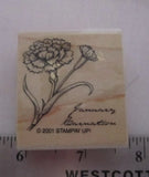Stampin Up Single Stamp Flower of the Month January Carnation Flower Birthday Carnation