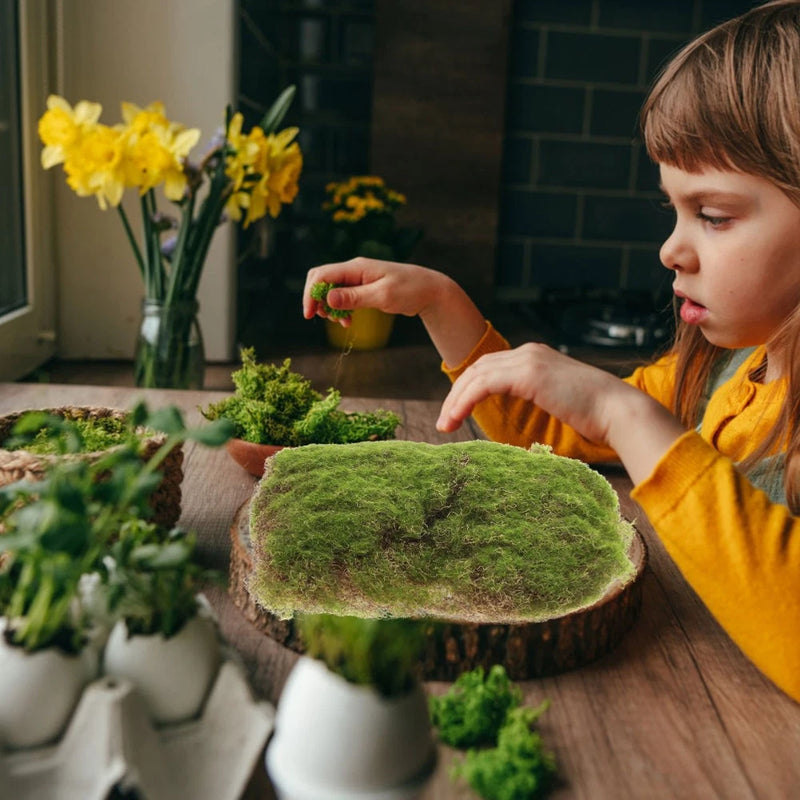 Artificial Moss Fake Decorative for Crafting Simulated Plants Turf Green Plant