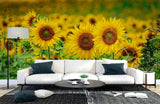 3D Sunflower Flower Wall Murals Wallpaper Murals Wall Sticker 71 Sunflower