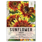 Joker Sunflower Seeds For Planting (Helianthus annuus) Sunflower