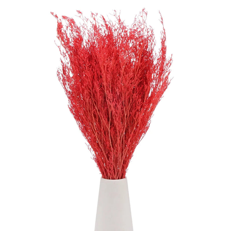 Orange-red dried limonium flower bouquet, tall bundle with feathery stems