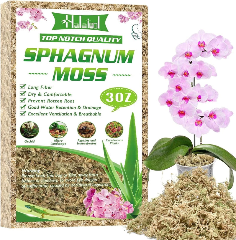 Halatool sphagnum moss bag (3 oz) with loose dried moss and orchid plant