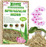 Halatool 3 oz Premium Sphagnum Moss for Indoor Plants, 4 qt 4 / 3 Orchids