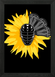 Sunflower Flower Life Framed Wall Art Poster Canvas Print Picture Sunflower