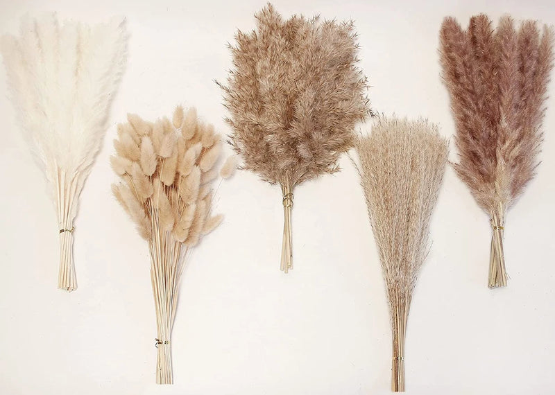 110PCS Natural Dried Pampas Grass Decor, Pampas Grass Bunny Tails Dried Flowers Dried Flower